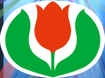 �`���[���b�v���S