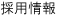 �̗p���