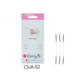 CSJA-02