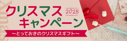 ꥹޥڡ2025
